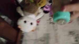 Вечер с Лили