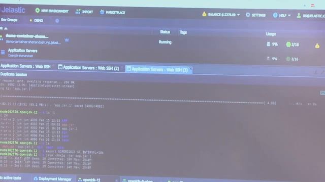 Ruslan Synytsky Elastic Jvm Automatic Vertical Scaling Of The Java Heap смотреть онлайн