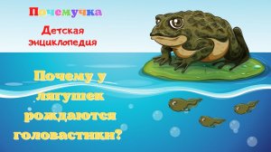 0+ Почему у лягушек рождаются головастики? Почемучка. Детская энциклопедия.