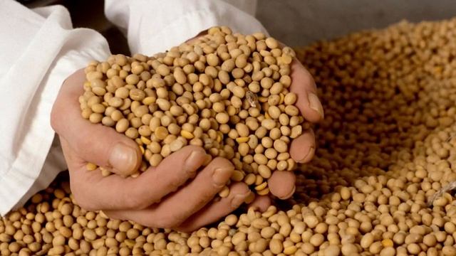 7 продуктов, которые вызывают скопление слизи в организме смотреть онлайн