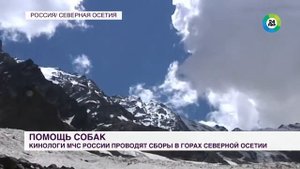 Подготовка напарников_ кинологи МЧС России проводят сборы в горах Северной Осетии