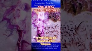 БОЛЬ И БЕДА УХОДИ НАВСЕГДА #онлайн #таро #психология Светлана ВЕДА