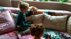 Африканская лисичка фенек едет в гости. Как домашняя лиса взаимодействует с детьми