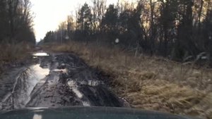 Шевроле Нива. Обычная поездка по лесу.