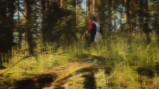 Orienteering.  Что такое спортивное ориентирование