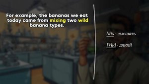 Интересный рассказ на английском языке | Английский язык уровня А1-А2