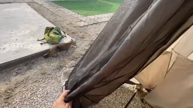 Палатка из Декатлон модель Quechua Arpenaz Family 6.3 XL смотреть онлайн