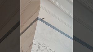 Снижение относительной влажности воздуха