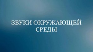 Звуки окружающей среды