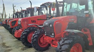 Цены тракторов Беларус январь 24 года. Обзор 82.3