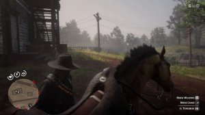 Red Dead Redemption 2 How to get silver earrings