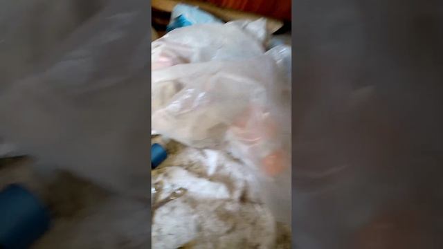 не заводится мопед Альфа . Дельта . Орион . Бензин поступает. Искра есть . Решение проблемы смотреть онлайн