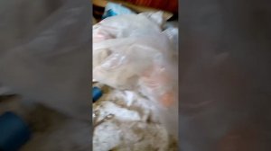 не заводится мопед Альфа . Дельта . Орион . Бензин поступает. Искра есть . Решение проблемы