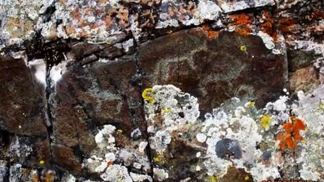 Красоты Алтая май 2016 фото Николая Денисенко смотреть онлайн