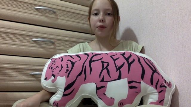 11 фактов о моём котике./встречает меня?/таскает игрушки к порогу?/он рыжий? смотреть онлайн