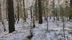 Жду Весну! Я не такой как все! ? 13.02.2023г