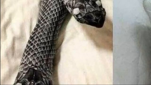 ШОК! Муж принял ногу жены за змею и сломал ее стальным прутом смотреть онлайн