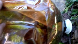 Органайзер из пивной кеги20220624.mp4