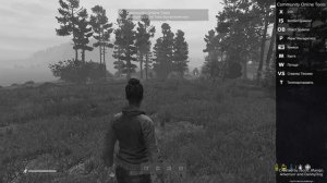 Как исправить баг с серым экраном в одиночке dayz #dayz #Серый экран #одиночка