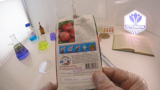 Томат Папенькина дочка F1. СеДеК смотреть онлайн