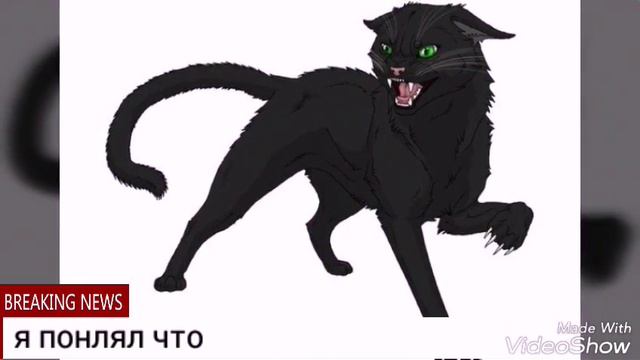 бич и белка смотреть онлайн