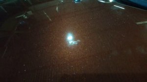 След от птичьего помёта на лаке