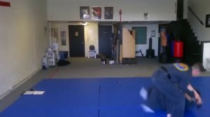 COMBAT HAPKIDO: Eclectic Martial Art