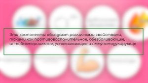 Родиола розовая: полезные свойства и область применения