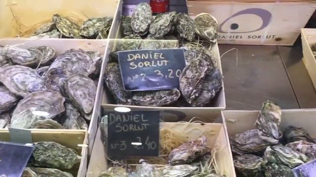 Устричный рынок :))) Майорка смотреть онлайн