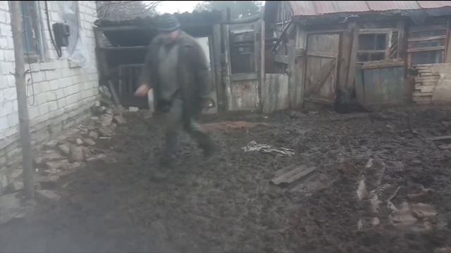 Дикие свиньи (кармалы) смотреть онлайн