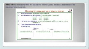 Морфологические постоянные признаки