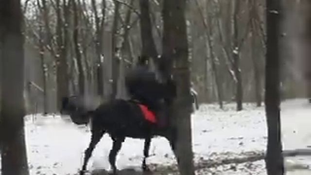 Сергей и Догма смотреть онлайн