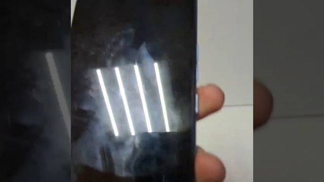 Видео №454264