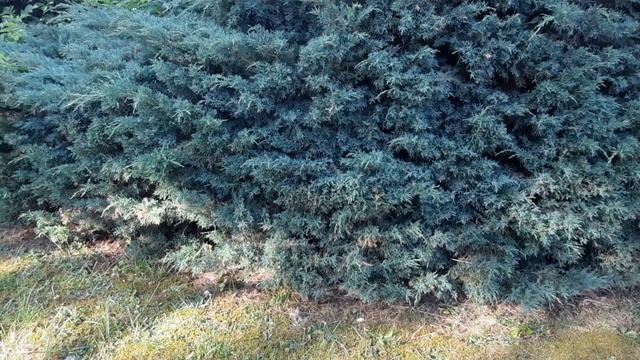 Николаев сегодня. 26 Июня 2022 Утро - Киев сегодня Ужас 26.06.2022 смотреть онлайн