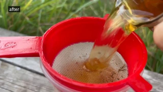 Все Домашние Цветы Обожают Эту Простую Подкормку! Даже Старые Цветы Оживают и Пышно Зацветают!