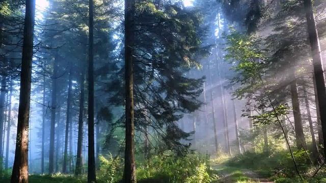 Видения на холме.mp4 смотреть онлайн