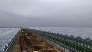 Теплицы в Усмани.