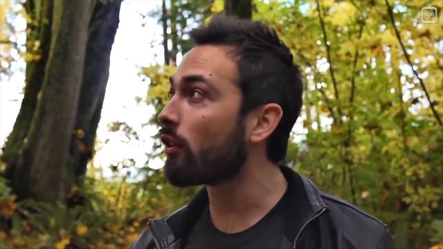 Нас поглотят деревья [Veritasium](1080P_HD) смотреть онлайн