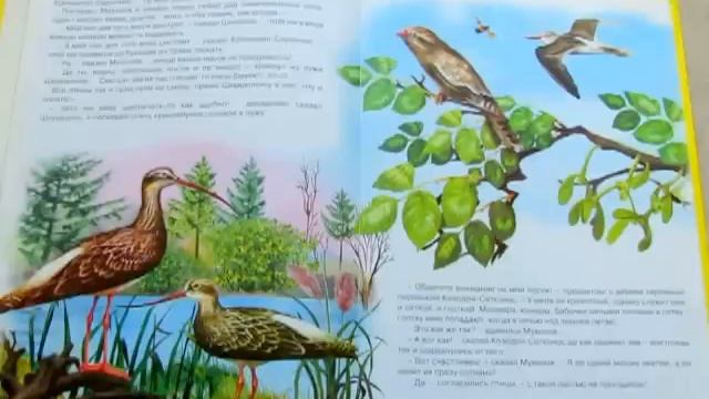 В. Бианки. Чей нос лучше? смотреть онлайн