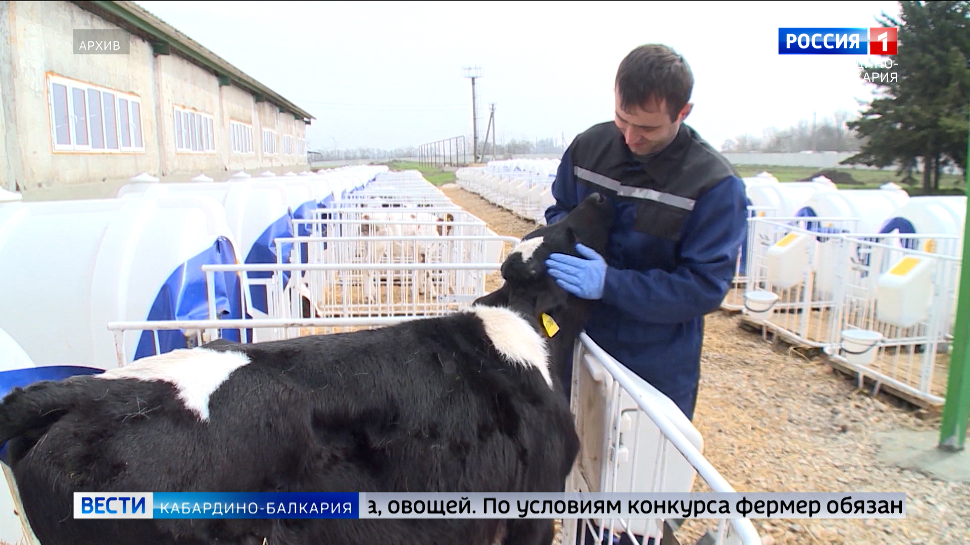 В КБР осуществят финансовую поддержку фермеров по программе «Агростартап»