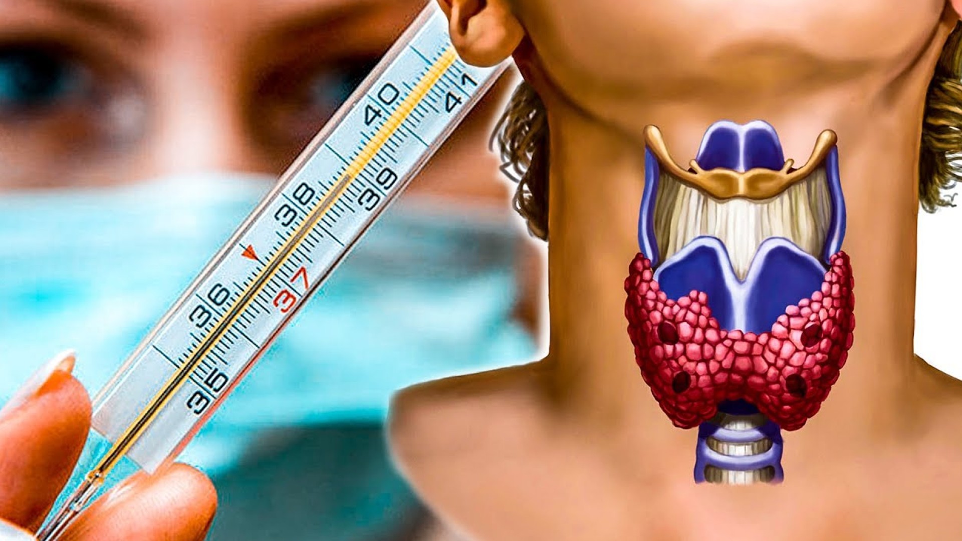 Термометрия щитовидной железы