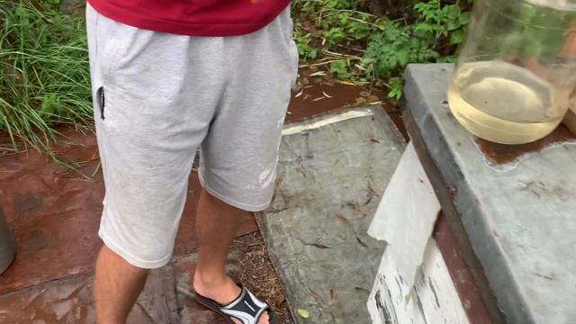 Борьба с осами смотреть онлайн