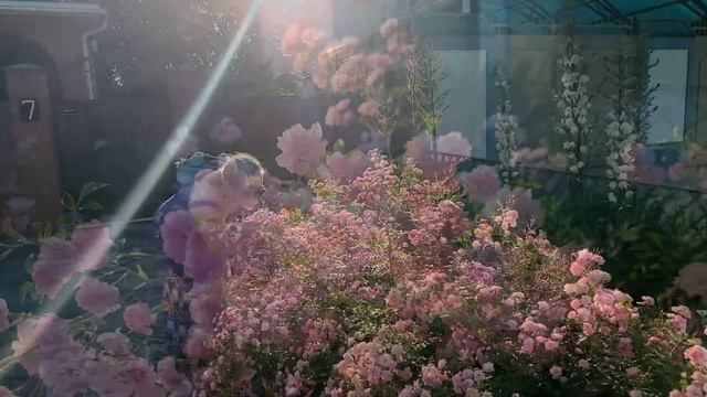 ТАТЬЯНКИ смотреть онлайн