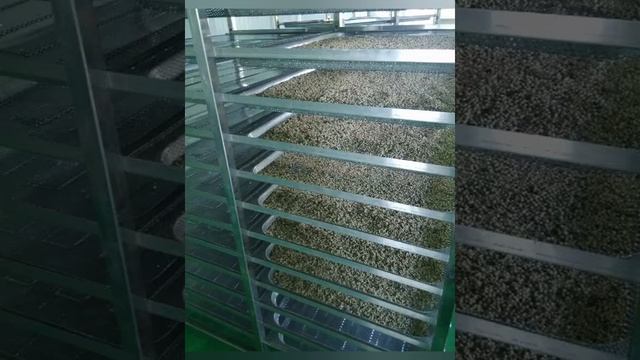 Hello River Brand New Technology Tea Leaf Dryer Fruit and Vegetable Dehydrator Drying Equipment