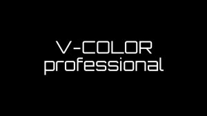 Интенсив от бренда V-COLOR PROFESSIONAL как это было