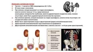 УЗИ. Доктор Иогансен. Выпуск 69. Аномалии развития почек и мочеточников. Часть 1.