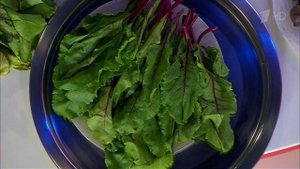 Съедобные отходы. Свекольная ботва. Жить здорово! Фрагмент выпуска от 27.05.2016