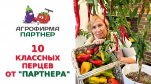 10 КЛАССНЫХ ПЕРЦЕВ ОТ "ПАРТНЕРА"