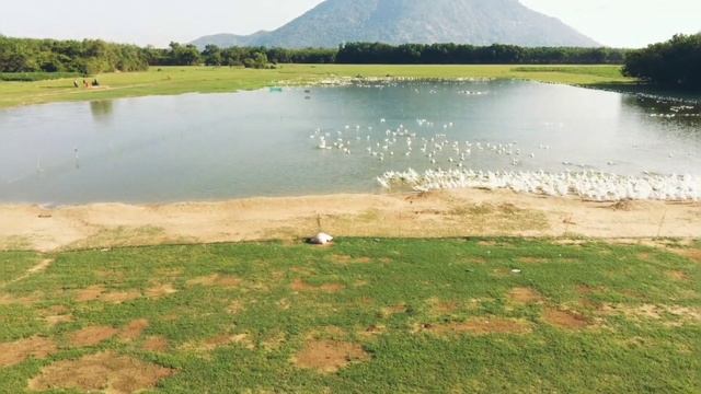 Обратная сторона "везёт" .mp4 смотреть онлайн