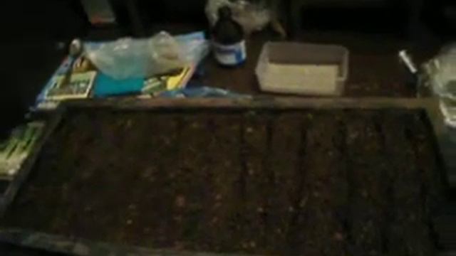 Как вырастить лук из семян,быстрый урожай! смотреть онлайн